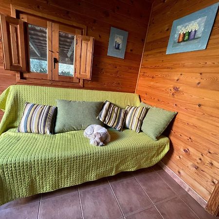 Vila Casa De Madera Con Piscina Privada Los Alcázares Exteriér fotografie